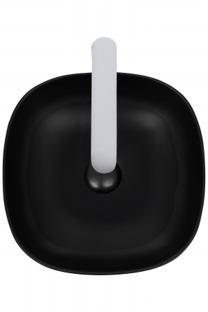 Накладная раковина WeltWassaer Elbach ELBACH 2184 MB фото