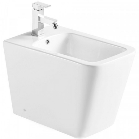 Биде напольное WeltWasser Gelbach GELBACH 003 GL-WT белый глянец фото