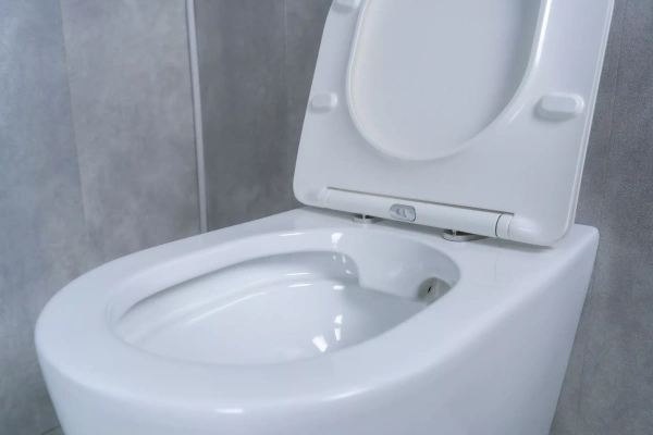 Унитаз приставной Gid TRS-269 фото