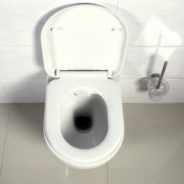 Сиденье для унитаза BelBagno Sfera-R BB123SC soft close фото