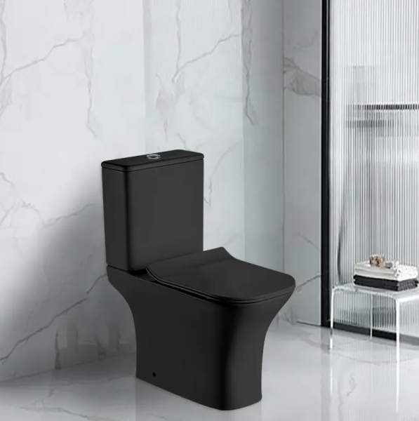 Унитаз напольный Cerutti SPA Vettore CT9241 с сиденьем фото