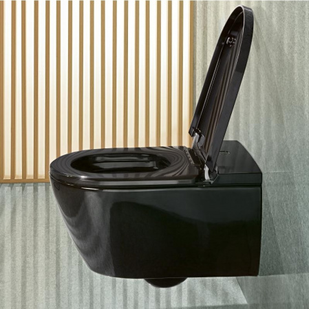 Подвесной унитаз с функцией биде Villeroy & Boch ViClean V0E100S0 фото