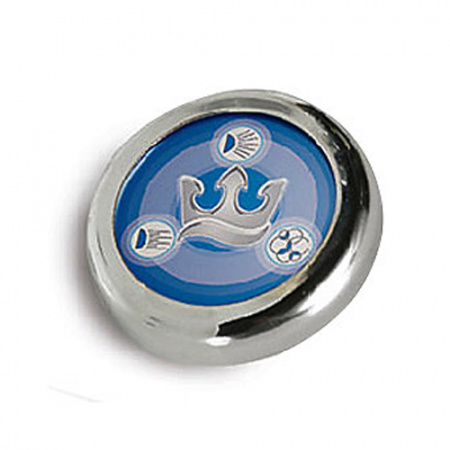 Пульт управления Triton фото