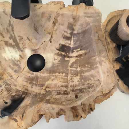 Накладная раковина из окаменелого дерева Fossil Basin OD-02467 45x38 фото