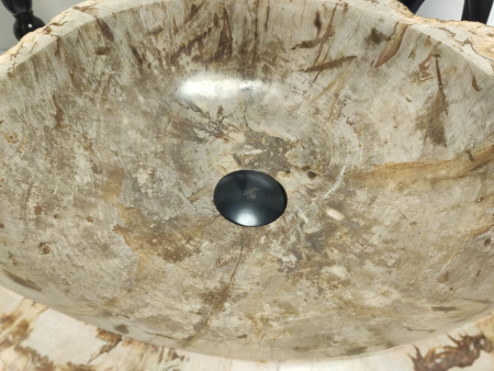 Раковина из окаменелого дерева Indo Fossil Basin OD-00403 фото