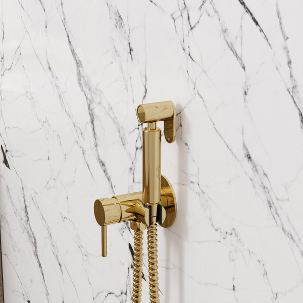 Гигиенический душ со смесителем WasserKRAFT A70738 глянцевое золото фото