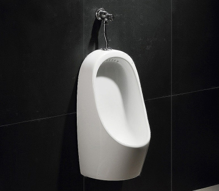 Писсуар кнопочный CeramaLux Х541P кнопочный, слив в стену фото