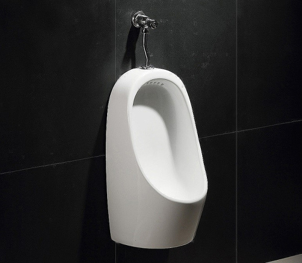 Писсуар кнопочный CeramaLux Х541P кнопочный, слив в стену фото