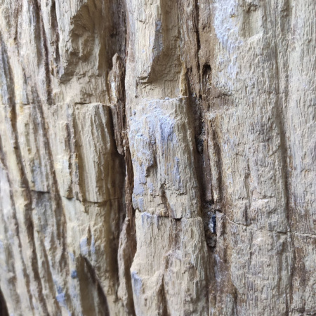 Раковина напольная из окаменелого дерева ODN-01499 (68*55*90) фото