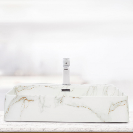 Накладная раковина WeltWassaer Elbach ELBACH 2173 M845 фото