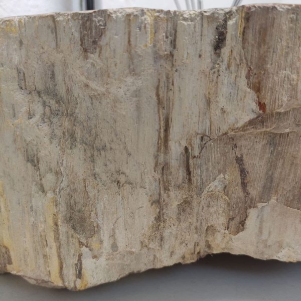 Накладная раковина из окаменелого дерева Fossil Basin OD-01248 (54*53*15) фото