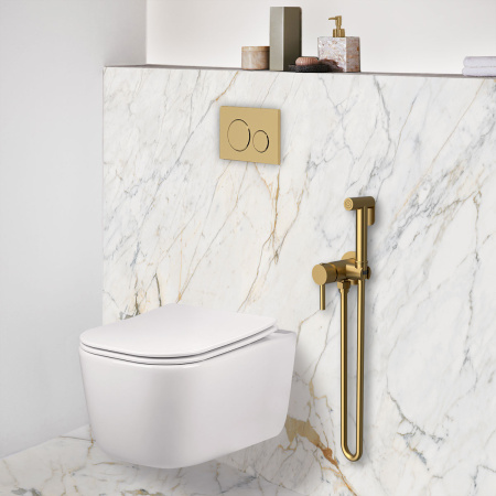 Гигиенический душ со смесителем Vincea VHFW-101BG брашированное золото фото