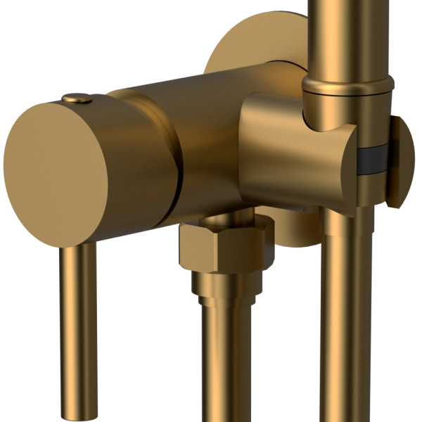 Гигиенический душ со смесителем Raiber Premium Graceful RPG-009 матовое золото фото