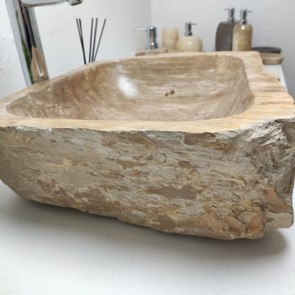 Накладная раковина из окаменелого дерева Fossil Basin OD-01259 (47*43*17) фото