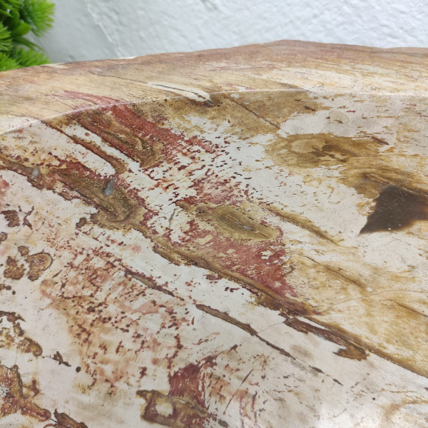 Накладная раковина из окаменелого дерева Fossil Basin OD-01335 (81*41*15) фото