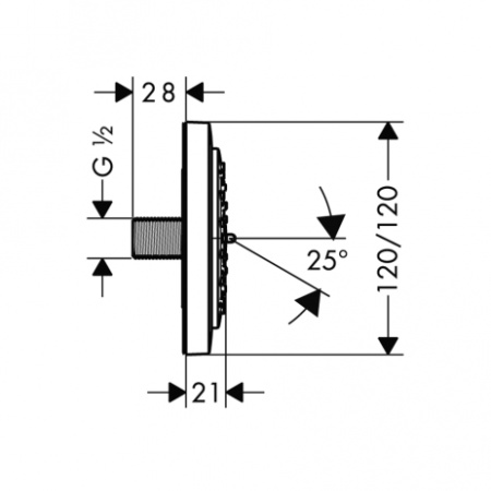 Боковая форсунка Hansgrohe PuraVida 28430000 фото