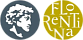 Florentina