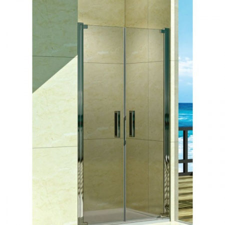 Душевая дверь WeltWasser WW600 600K2-120 120 см фото