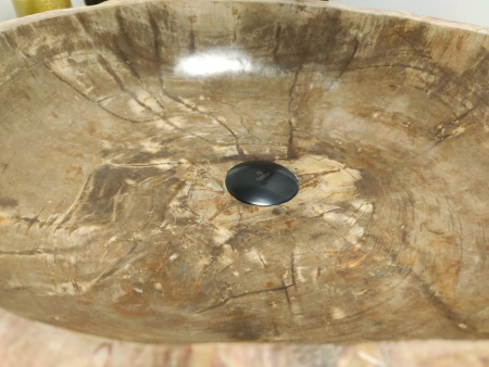 Раковина из окаменелого дерева Indo Fossil Basin OD-00401 фото