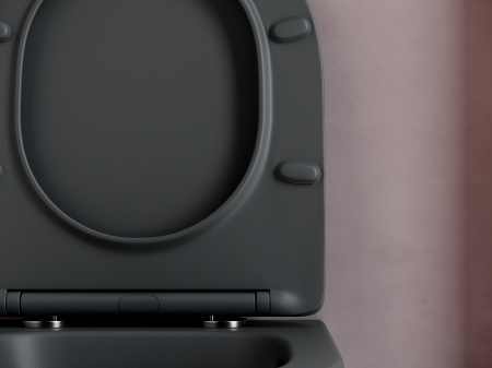 Унитаз подвесной безободковый Ceramica Nova Balearica CN6000MDH темный антрацит матовый фото