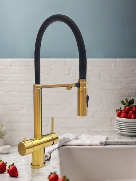 Смеситель для кухни с подключением к фильтру AltroBagno Flusso 050202BG матовое золото фото