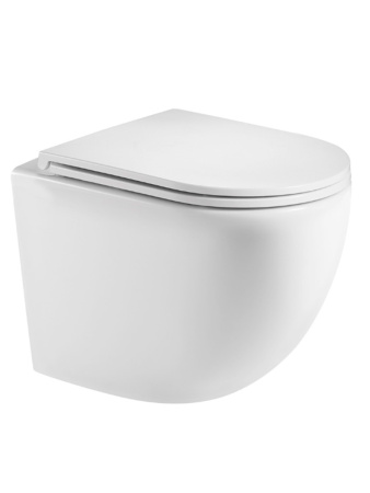 Подвесной унитаз безободковый AQUAme AQM2002MW с сиденьем SoftClose фото