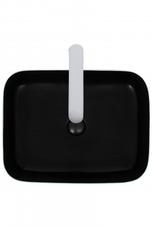 Накладная раковина WeltWasser Elbach ELBACH M2195 WB фото