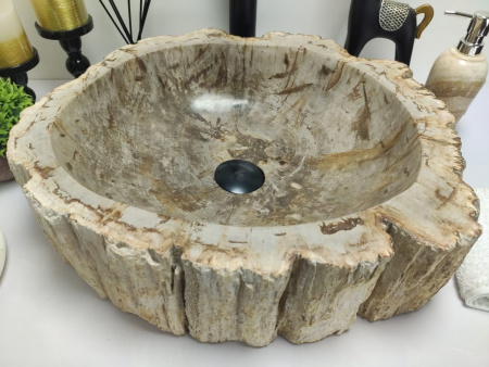 Раковина из окаменелого дерева Indo Fossil Basin OD-00403 фото