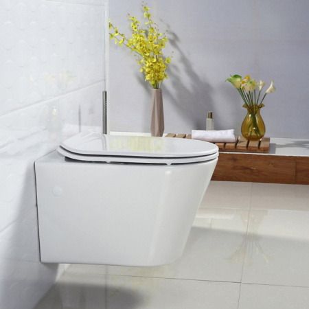 Унитаз подвесной BelBagno Flay-R BB506CH фото