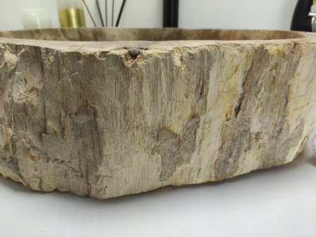 Раковина из окаменелого дерева Indo Fossil Basin OD-00401 фото