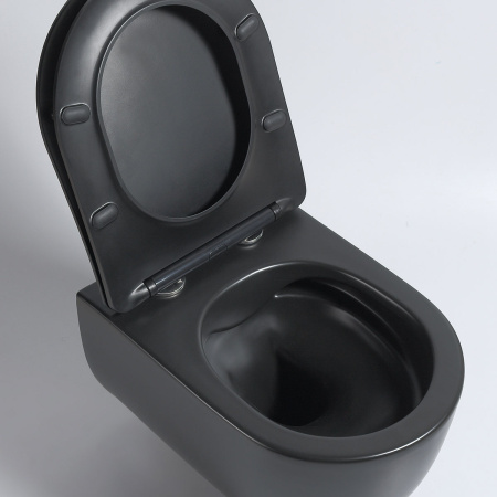 Подвесной унитаз безободковый Vincea Evo VT1-34SMB с сиденьем фото