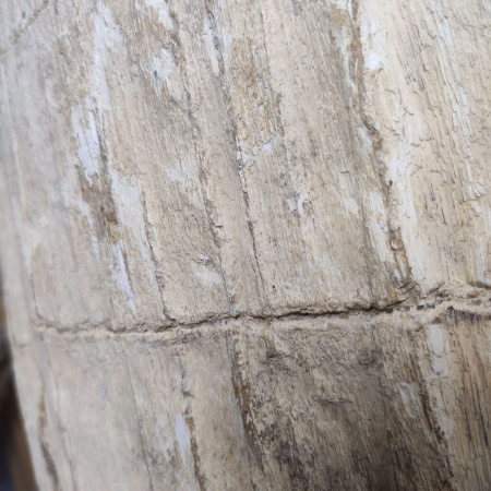 Раковина напольная из окаменелого дерева ODN-01499 (68*55*90) фото