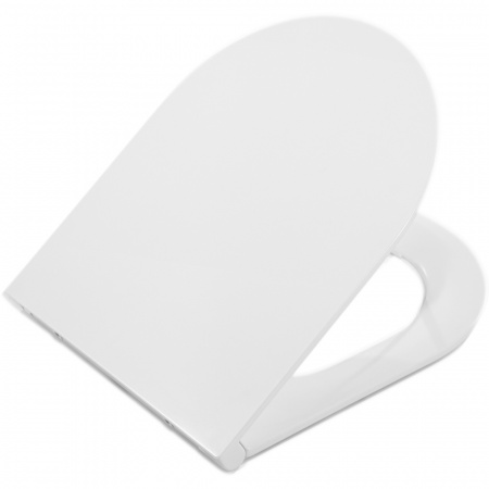 Сиденье для унитаза Art&Max Rimini AM870SC фото