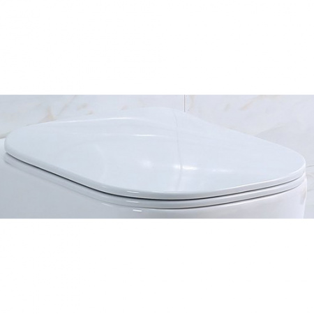 Сиденье для унитаза BelBagno Genova BB1102SC soft close фото