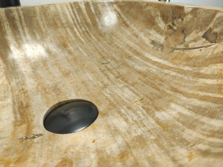 Раковина из окаменелого дерева Indo Fossil Basin OD-00410 фото