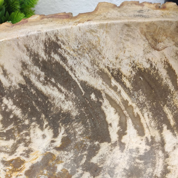 Накладная раковина из окаменелого дерева Fossil Basin OD-01233 (58*48*16) фото