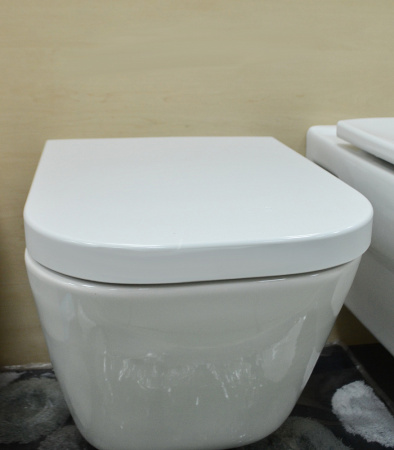 Комплект Roca Gap 7893104100 подвесной унитаз + инсталляция + кнопка фото