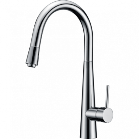 Смеситель для кухни Ganzer Rein GZ 16022 фото