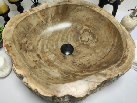 Раковина из окаменелого дерева Indo Fossil Basin OD-00402 фото