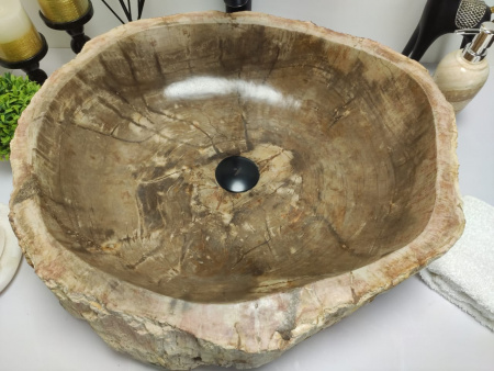 Раковина из окаменелого дерева Indo Fossil Basin OD-00401 фото