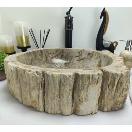 Раковина из окаменелого дерева Indo Fossil Basin OD-00403 фото