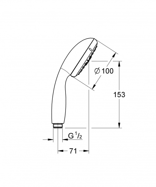 Душевая лейка Grohe Tempesta New 28421002 фото