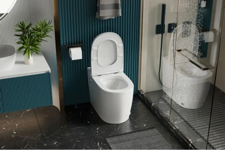 Унитаз приставной с импульсным смывом Abber Bequem AC1114P с сиденьем микролифт фото