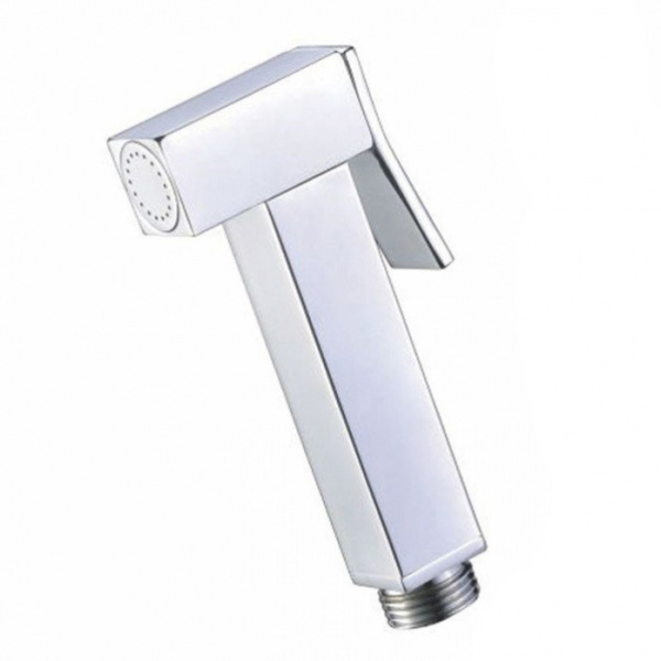 Гигиеническая лейка без смесителя Ganzer GZ20 GZ 2040 фото