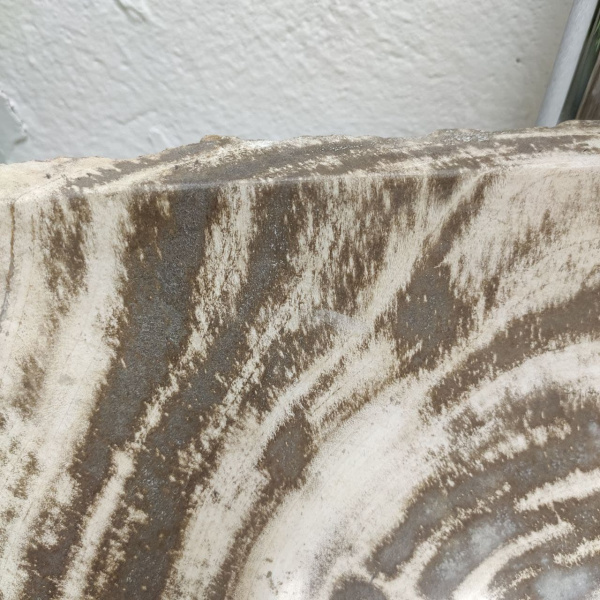 Накладная раковина из окаменелого дерева Fossil Basin OD-01303 (57*36*15) фото