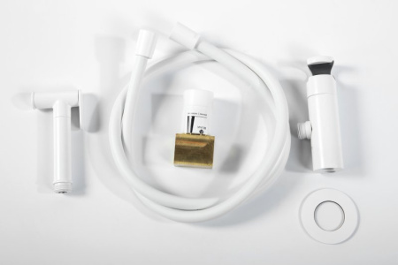 Гигиенический душ со смесителем Cezares Leaf LEAF-DIF-BIO белый матовый фото