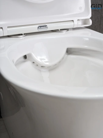 Унитаз напольный безободковый GID Tn2126 с сиденьем фото