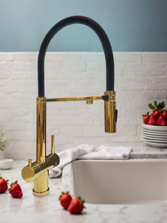 Смеситель для кухни с подключением к фильтру AltroBagno Flusso 050205GI золото фото