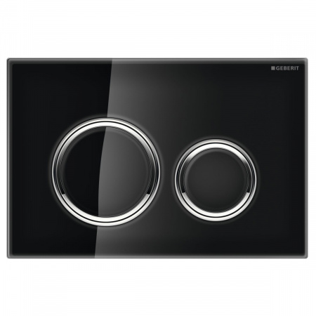Смывная клавиша Geberit Sigma 21 115.884.SJ.1 фото