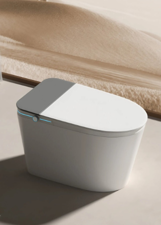 Умный электронный унитаз с функцией биде Cerutti SPA Ester Smart CT10617 фото